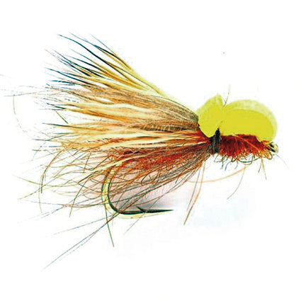 Balloon Caddis Fiery Brown – Trockenfliege