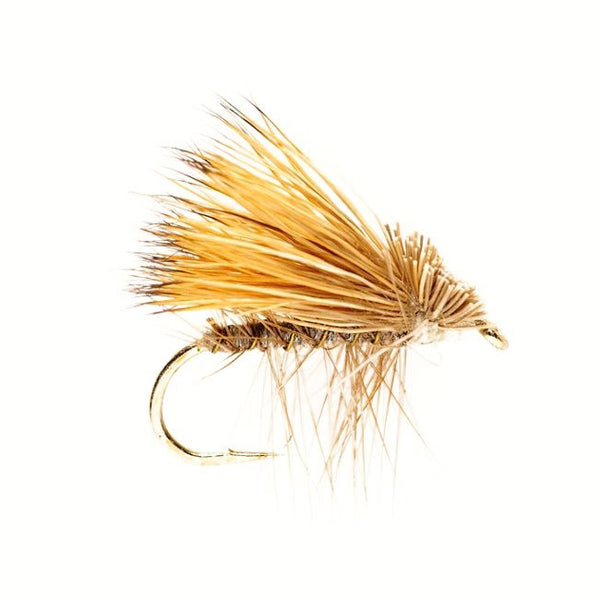 Elk Wing Caddis Grey – Trockenfliege