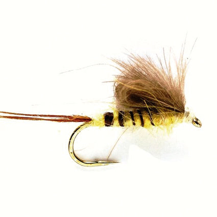 CDC Danica – Emerger #12