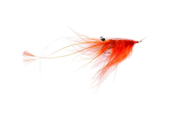 Oeland Spey - orange Meerforellenfliege-
