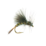 Olive Emerger