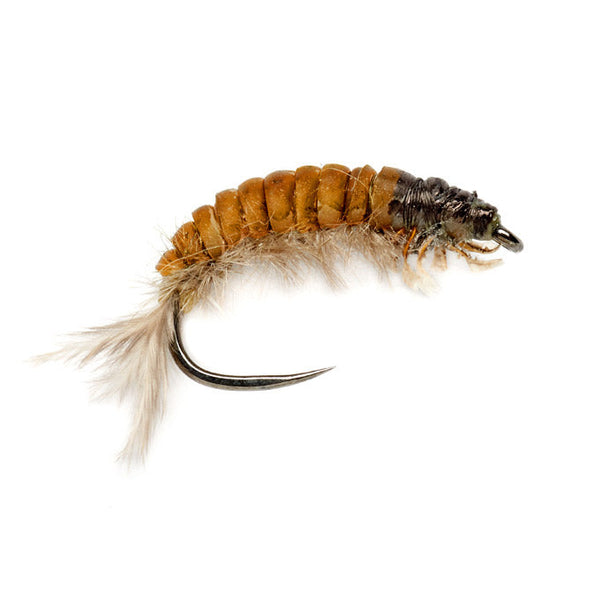 Hydropsyche Larva V2 Barbless #12