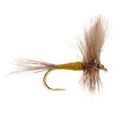 BWO -Trockenfliege-