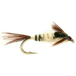 Mayfly Nymph - beschwerte Nymphe