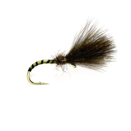 Yellow Owl Cul – CDC-Emerger