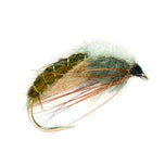 Hatching Sedge olive