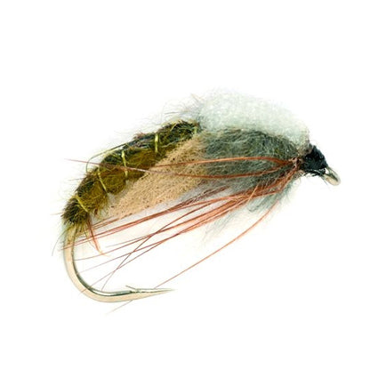 Hatching Sedge olive
