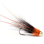 Franc`n Snaelda Orange -Sean Stanton-