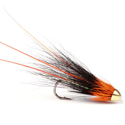 Franc`n Snaelda Orange -Sean Stanton-