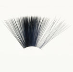 Mayfly Tails