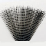 Barred Mayfly Tails