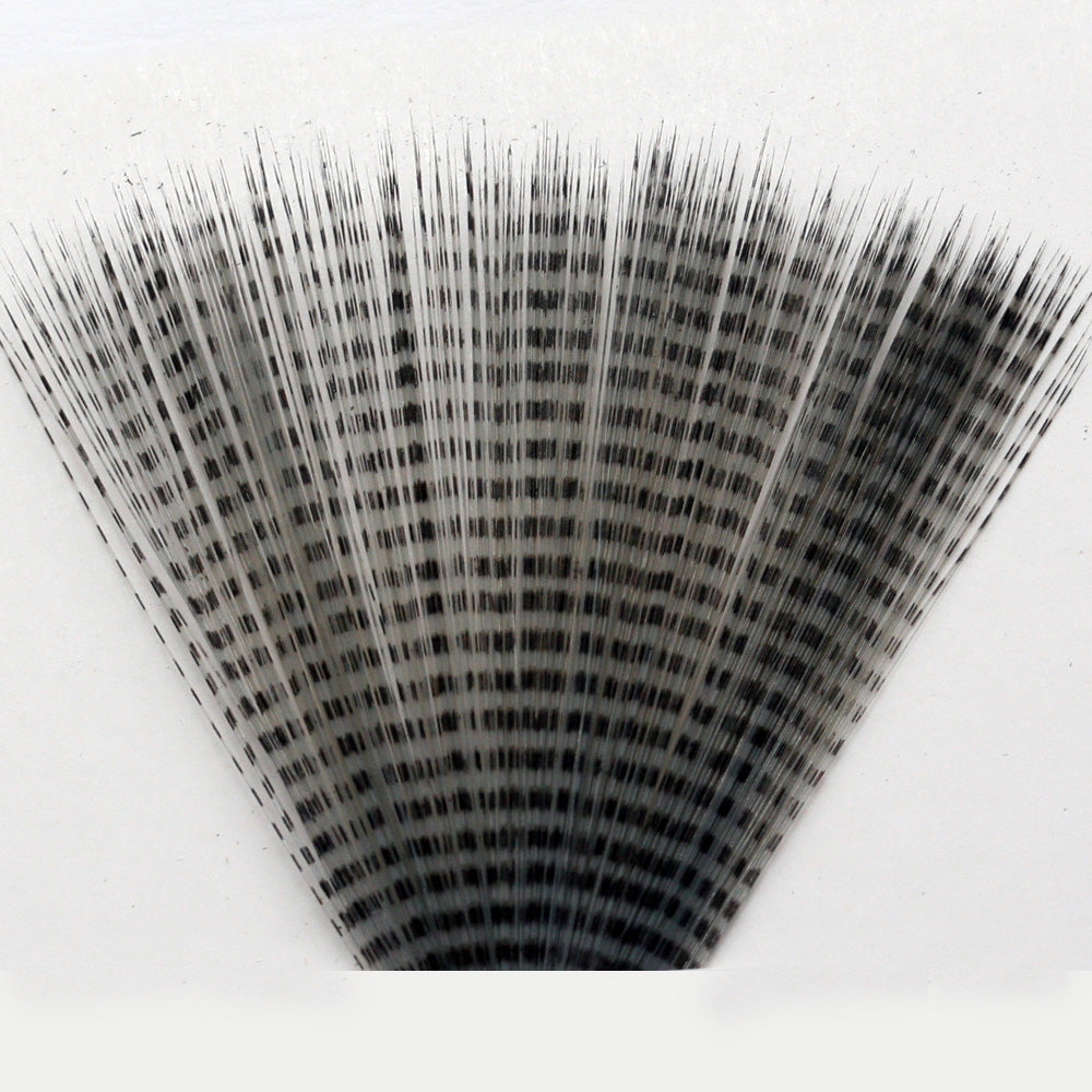 Barred Mayfly Tails