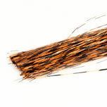 Grizzly Barred Flashabou