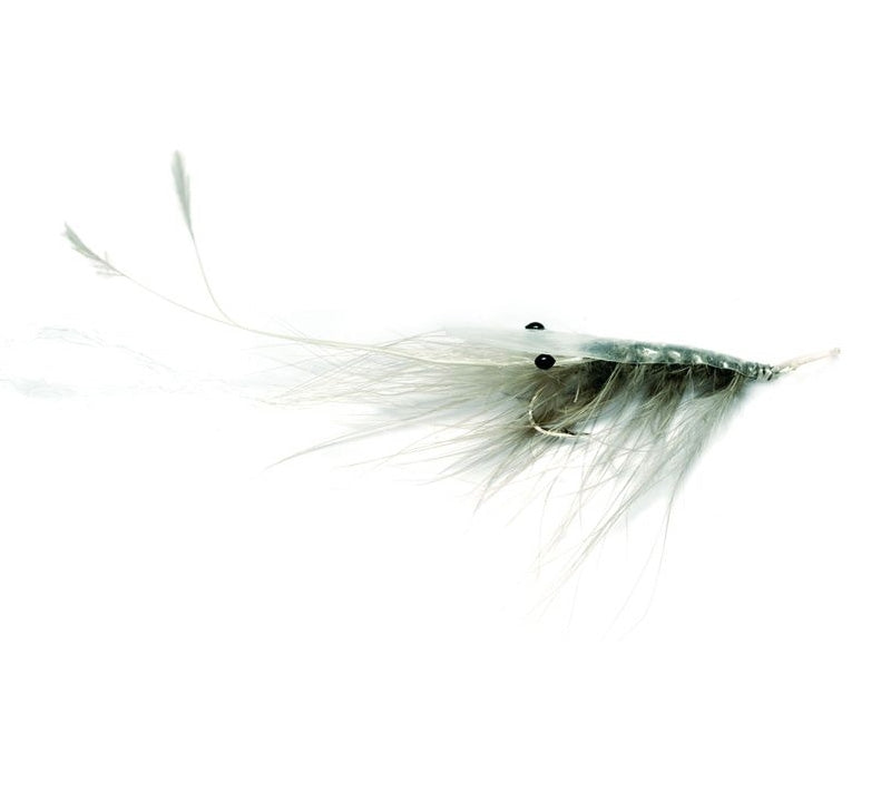 Oeland Spey  -grau Meerforellenfliege-