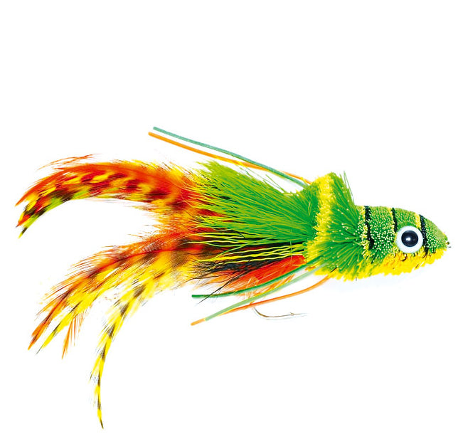 Swimming Frog - Hechtpopper #6