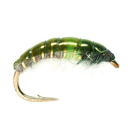 Green Pea