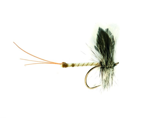 Flyline Maifliege #10
