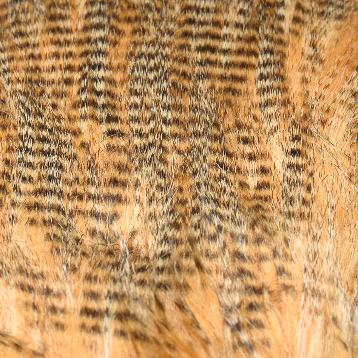Barred Craft Fur