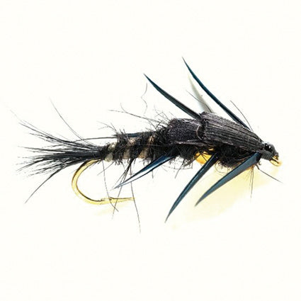 Creeper Black #10 - Goldkopf Nymphe