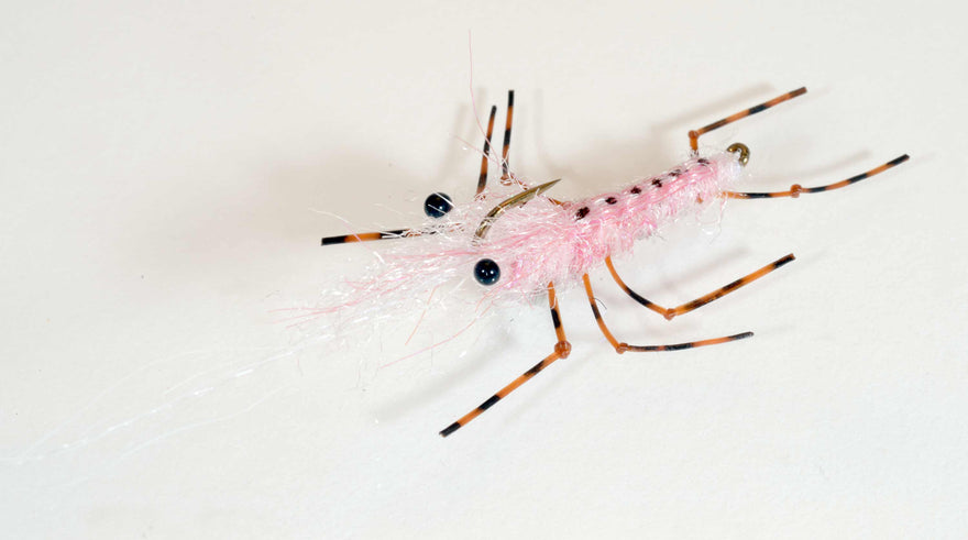 Honey Shrimp -pink-  Meerforellenfliege-