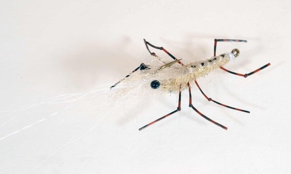 Honey Shrimp -variant-  Meerforellenfliege-