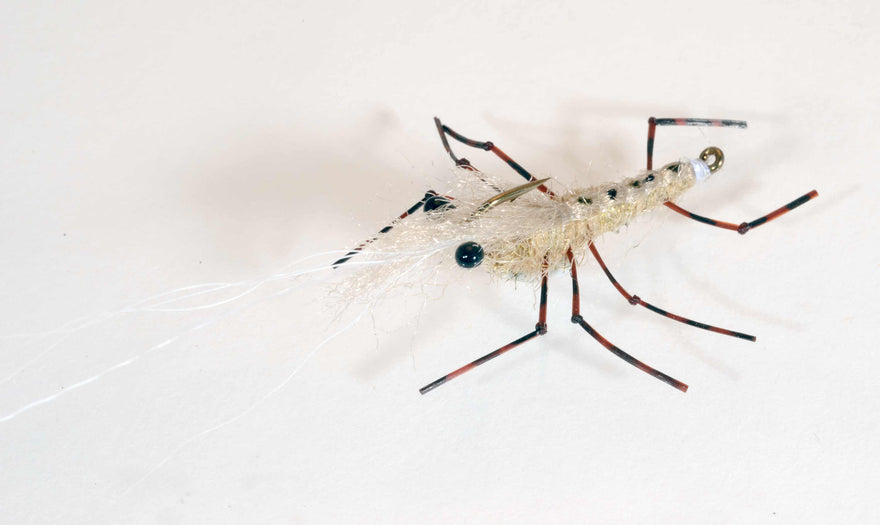 Honey Shrimp -variant-  Meerforellenfliege-