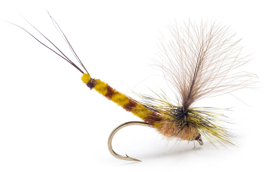 Guideline Vulgata Dun – Maifliege #10