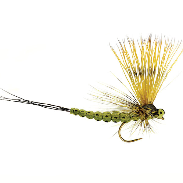 Mohican May Olive – Maifliege #10