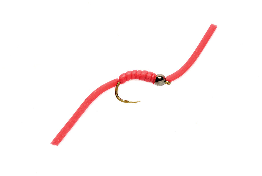 Wiggly Worm- #10