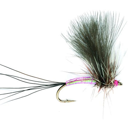 X-Factor Pink Lady – Trockenfliege #12