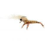 Honey Shrimp -Original- #6