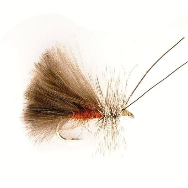 CDC Sedge – Trockenfliege