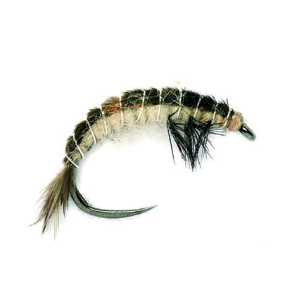 Caddis Larva "Hydropsche Larva"
