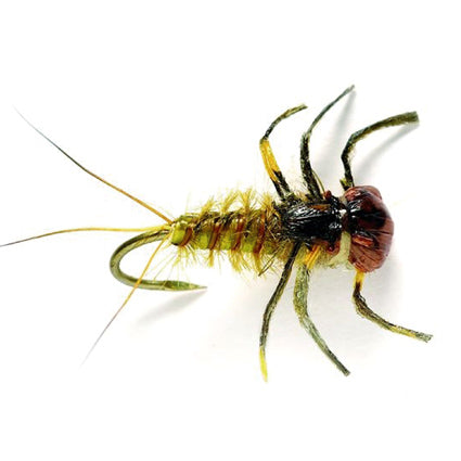 Realistic Nymph "Heptagenid Nymph" March Brown Type
