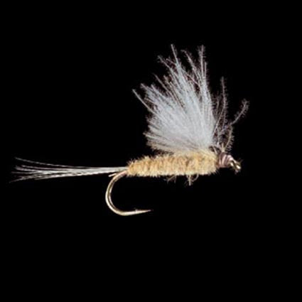 Marc Petitjean MP 17 – CDC-Eintagsfliege creme