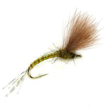 KJ Olive – Emerger