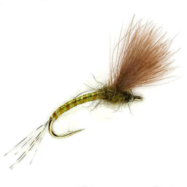 KJ Olive – Emerger
