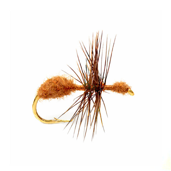Cinneman Ant Trockenfliege #16