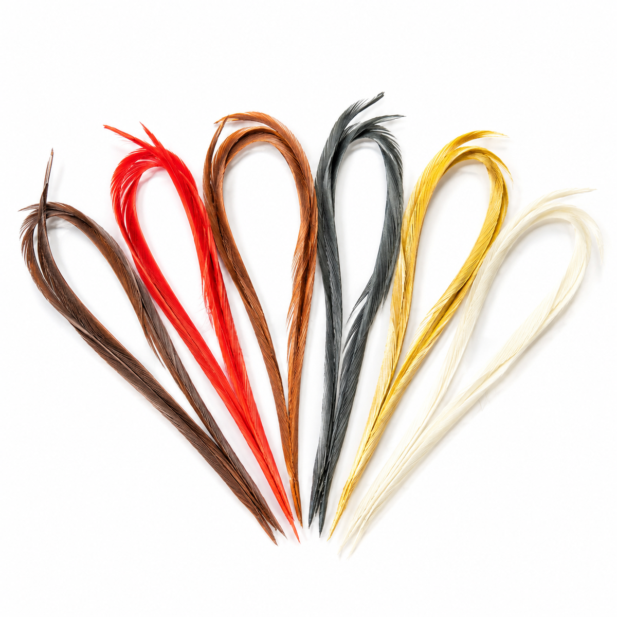 Biots Horngrannen -Mischpackung alle Farben -