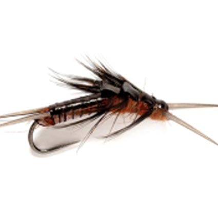 Realistic Nymph "Large Black Stonefly" 8
