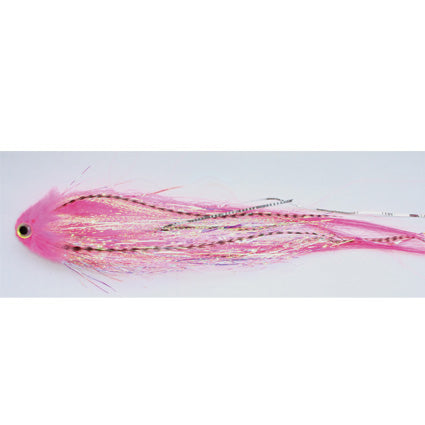 Sheephead - Pink -