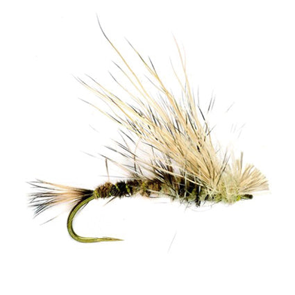 Mayfly Emerger #12 – widerhakenlose Trockenfliege