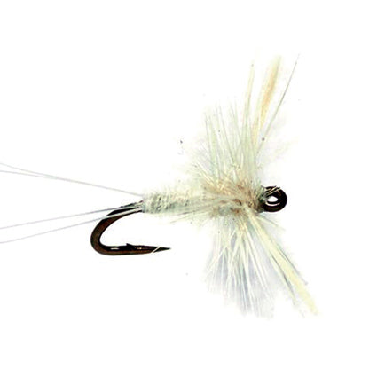 Caenis Midge – Trockenfliege