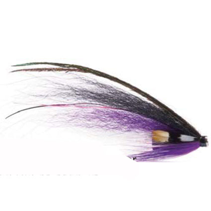 Black/Purple/White