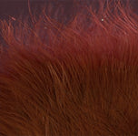 Marabou Strung