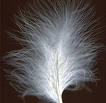 Marabou extra select