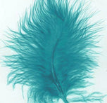 Marabou extra select