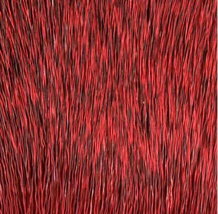 Amerikanisches Winterrehhaar