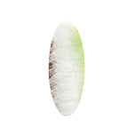 Senyo Chromatic Brush