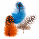 Fliegenbinden Perlhuhn Federn